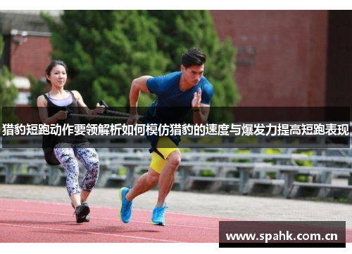 猎豹短跑动作要领解析如何模仿猎豹的速度与爆发力提高短跑表现