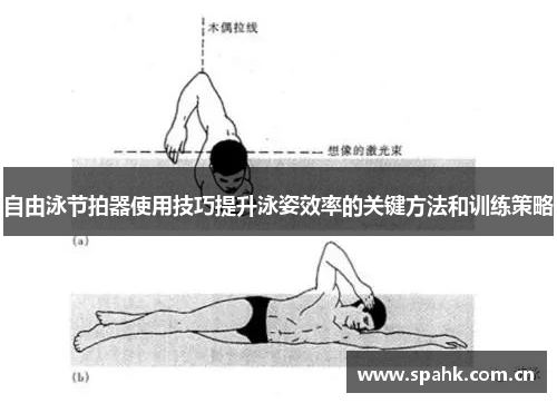 自由泳节拍器使用技巧提升泳姿效率的关键方法和训练策略