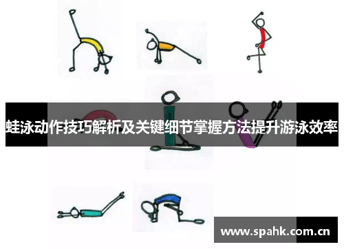 蛙泳动作技巧解析及关键细节掌握方法提升游泳效率