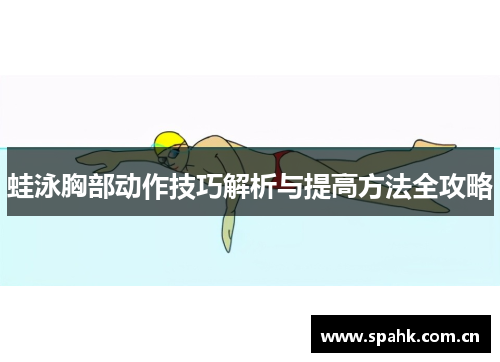 蛙泳胸部动作技巧解析与提高方法全攻略