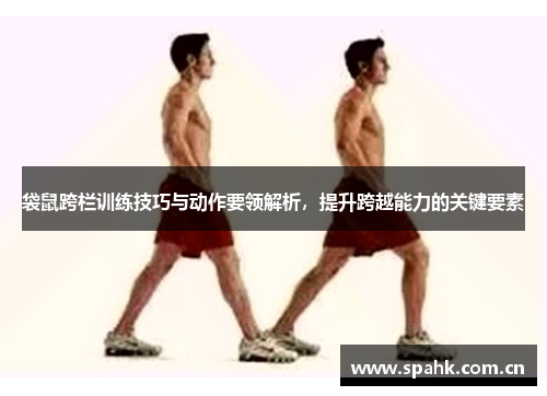 袋鼠跨栏训练技巧与动作要领解析，提升跨越能力的关键要素
